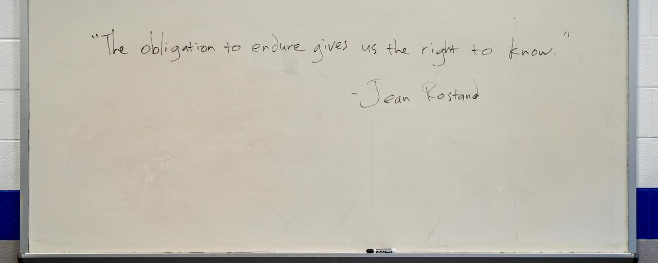 A whiteboard displaying the quote, "The obligation to endure gives us the right to know," by philosopher Jean Rostand